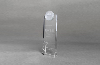 Hong Kong O2O E-Commerce Association - Hong Kong O2O Leading Model Award Star of the Stars